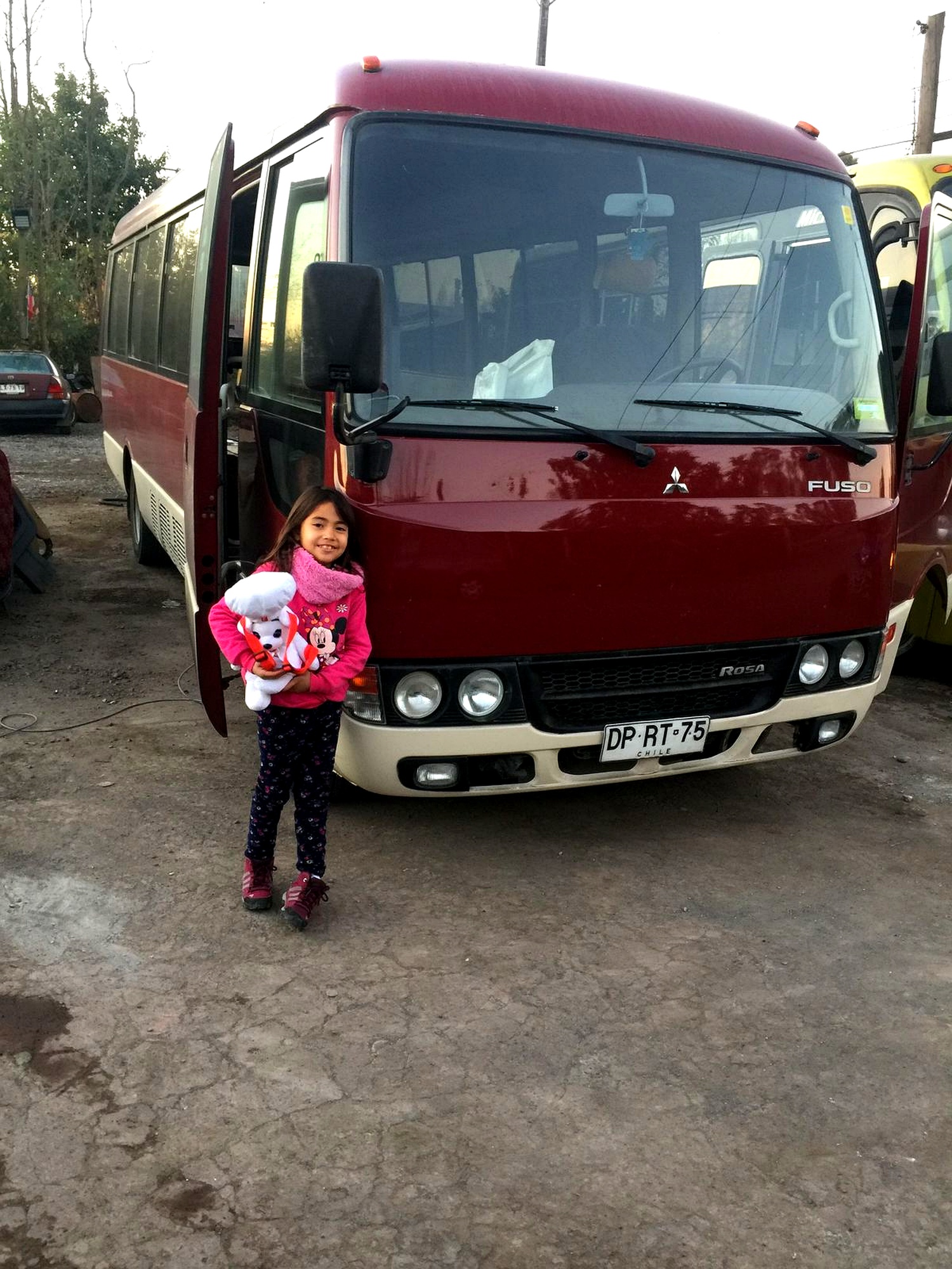 Ciudad de Curicó - imagen 2